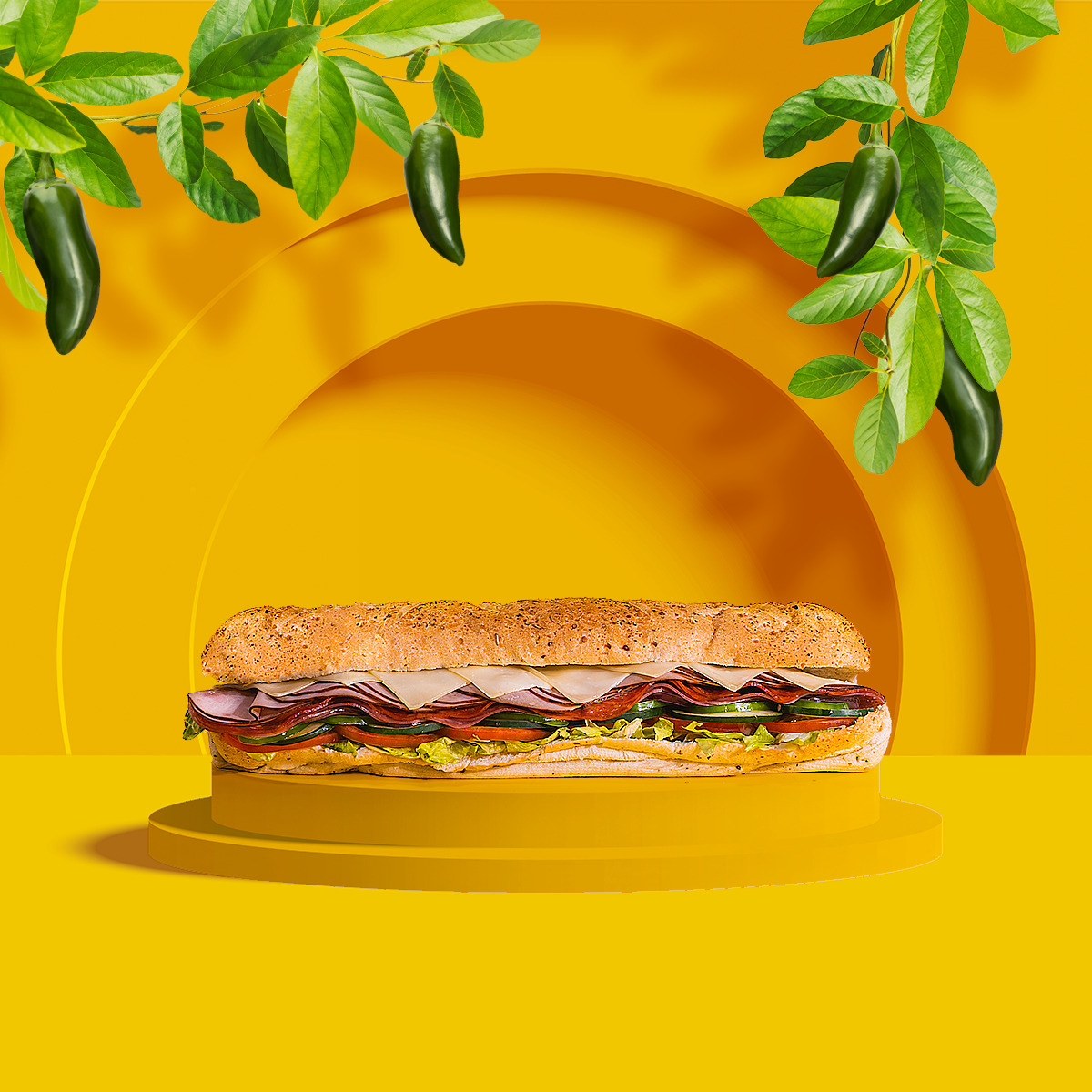 Subway • Megaplaza-6